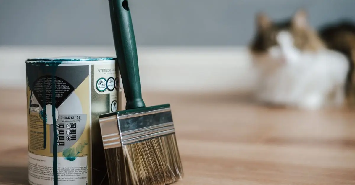 Todo lo que necesitas saber sobre la pintura para exteriores
