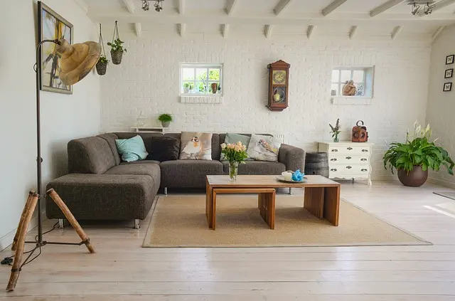 5 Consejos Clave para Elegir la Pintura Ideal para tu Hogar